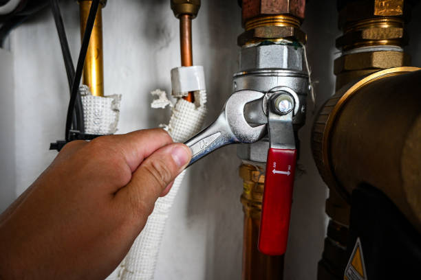 Best Plumbing Inspections & Maintenance in Centralia, IL